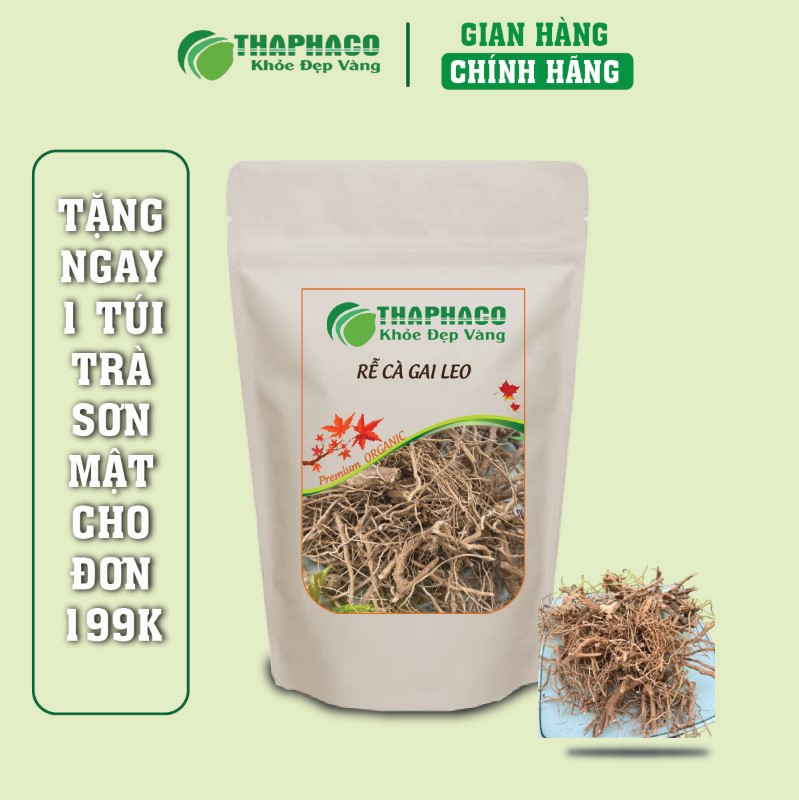THAPHACO nơi để mua 500g rễ cà gai leo sấy khô chính hãng tại TP.HCM