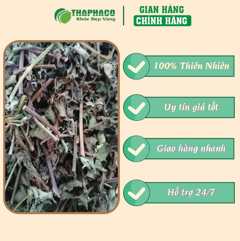 Địa chỉ bán 500g sài đất sấy khô chất lượng cao tại TP.HCM