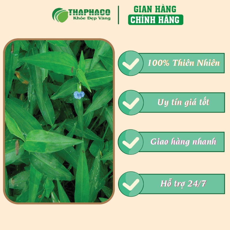 Liên hệ THAPHACO để mua 500g thài lài trắng sấy khô giá rẻ tại TP.HCM