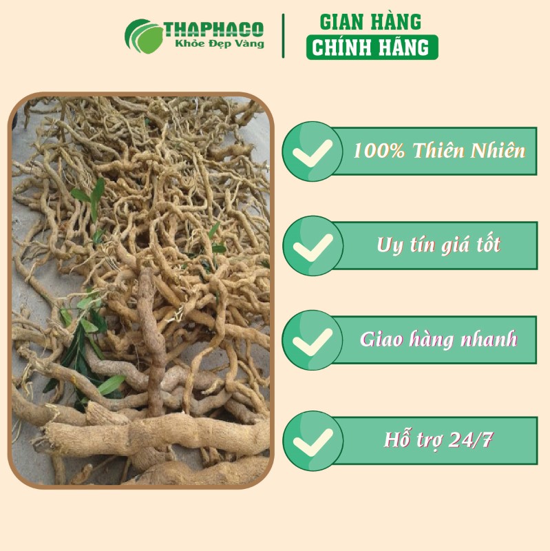 Địa chỉ mua rễ xáo tam phân 500g giá tốt tại TP.HCM