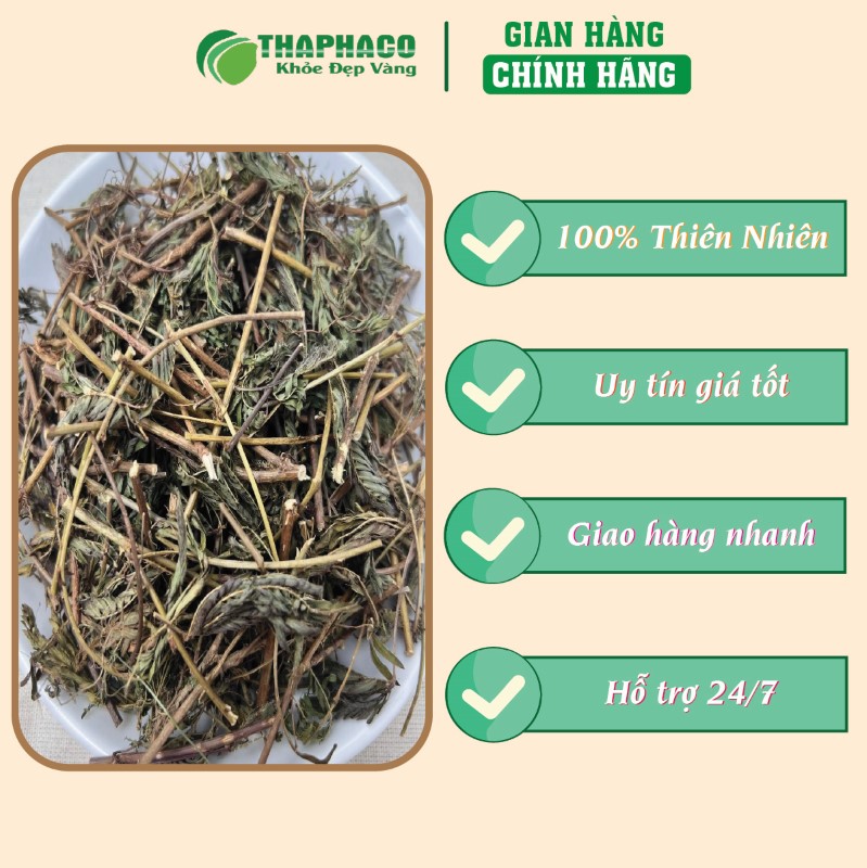 THAPHACO nơi bán túi 500g xấu hổ sấy khô giá rẻ tại TP.HCM