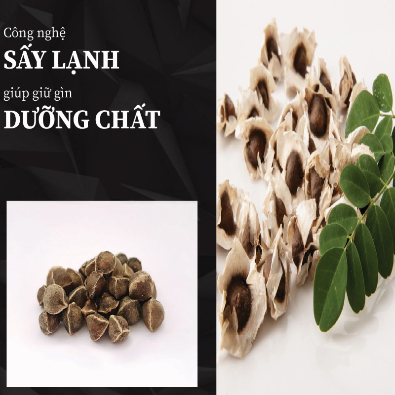 Mua 500g hạt chùm ngây khô giá rẻ ở đâu?