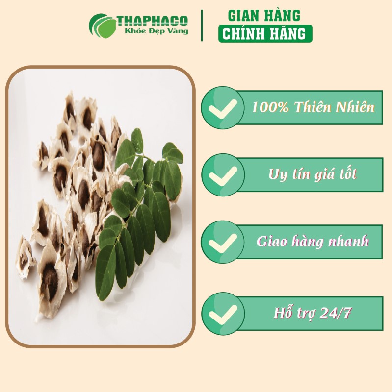 Địa chỉ bán túi 500g hạt chùm ngây khô giá rẻ chính hãng tại TP.HCM