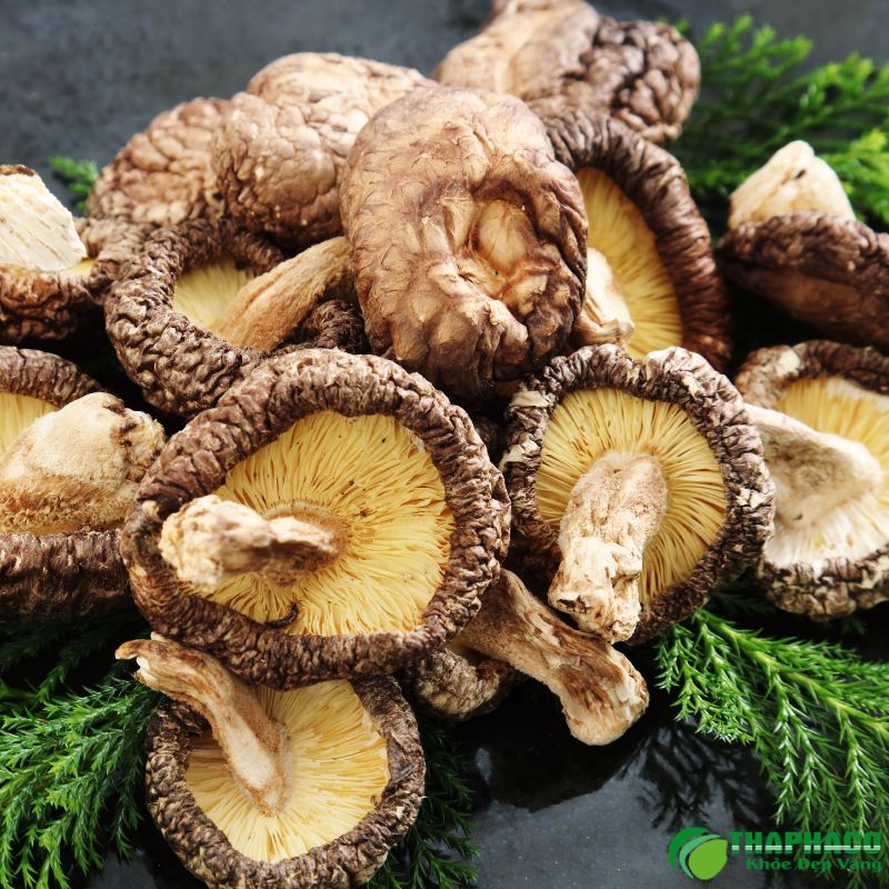 Ăn nấm hương có tốt không?