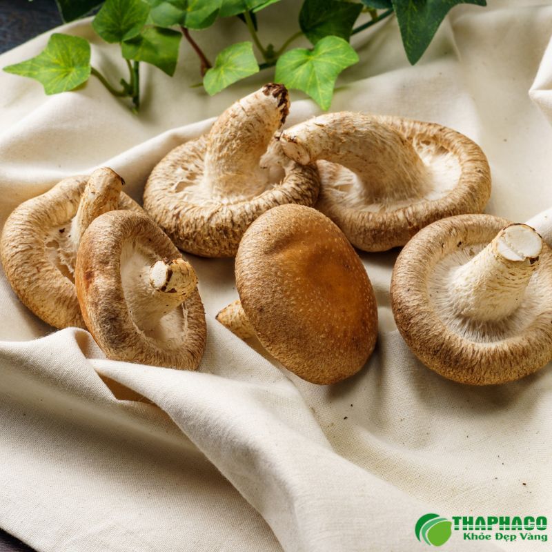 Ăn nấm hương giúp tăng cường hệ miễn dịch