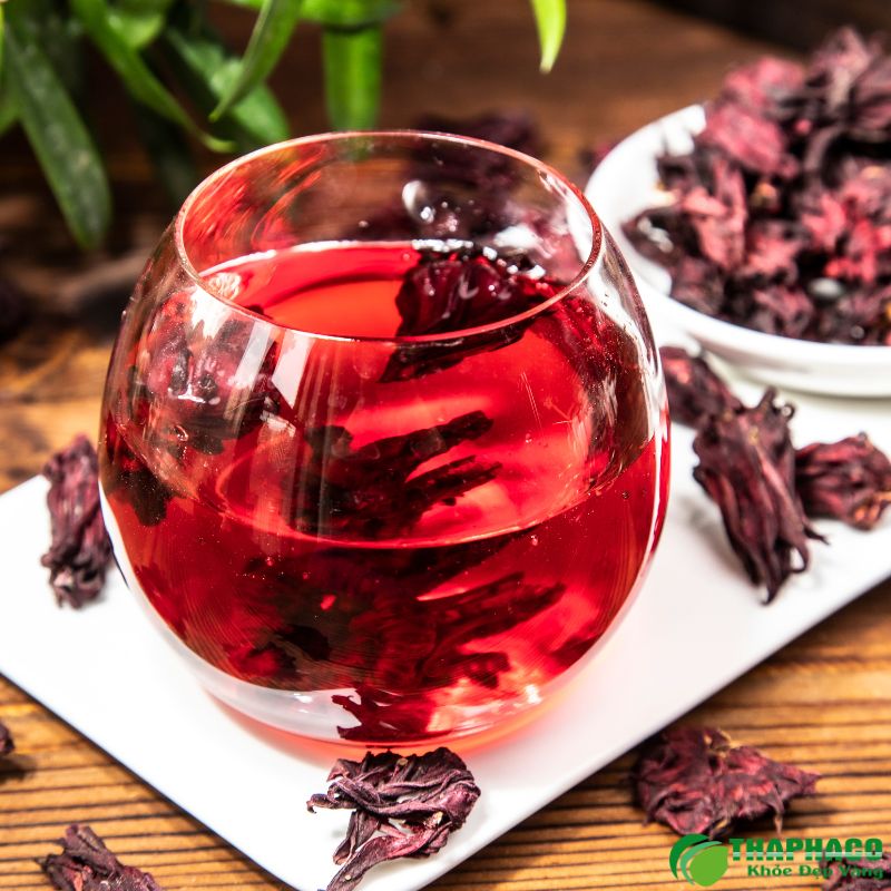 Hoa atiso đỏ là gì? Công dụng hoa atiso đỏ 