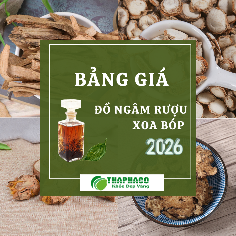 Bảng báo giá đồ ngâm rượu quý 1 năm 2026 THAPHACO