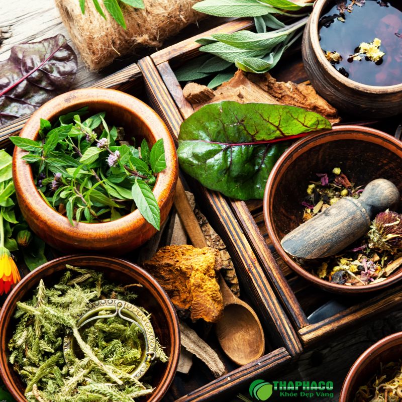 Giá bán lá xông giải cảm tại TP.HCM