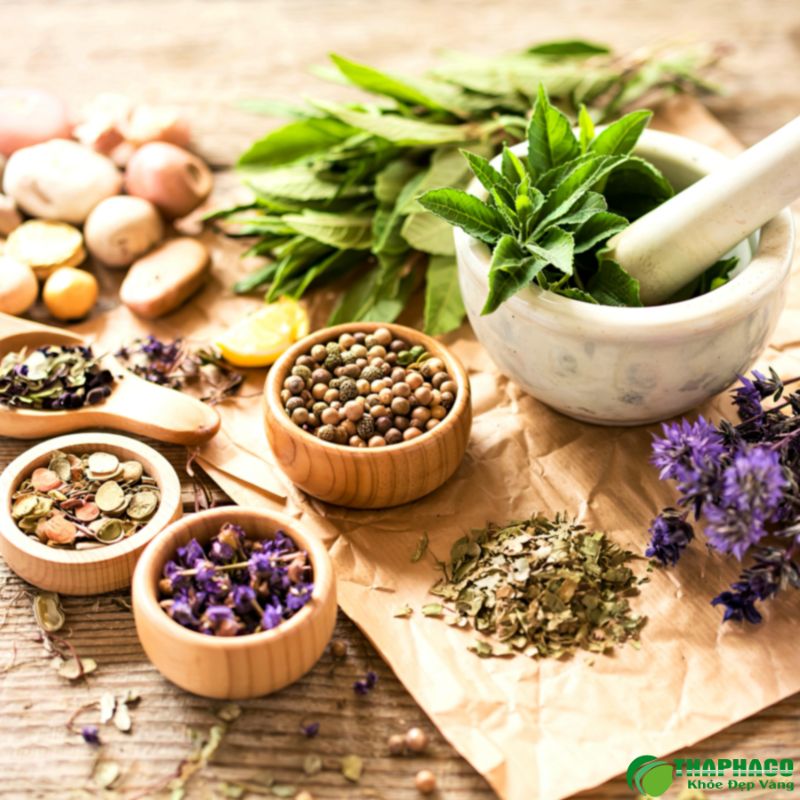 Bảng báo giá lá xông giải cảm Quý I/2026