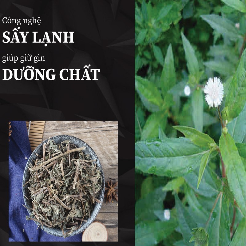 Túi 500g bột cây nhọ nhồi (cỏ mực) sấy khô