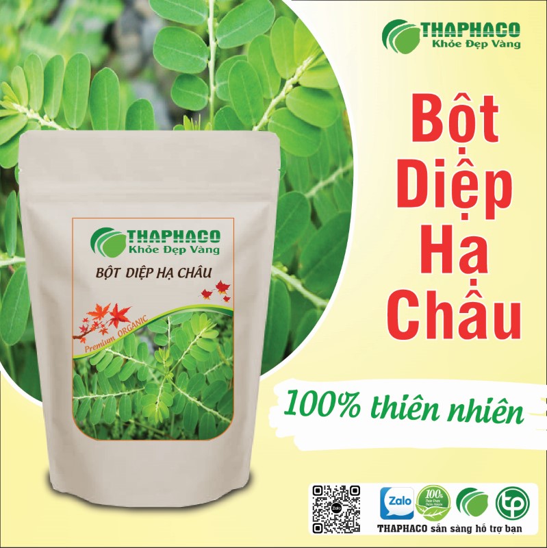 Địa chỉ bán 1kg bột diệp hạ châu khô giá rẻ tại TP.HCM