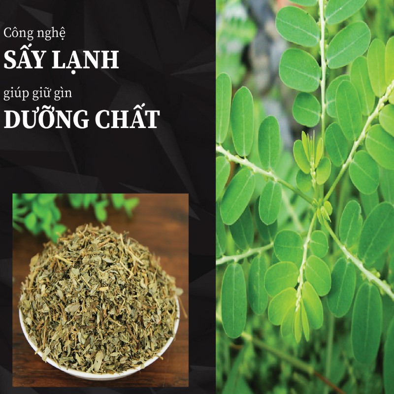 Túi 500g bột diệp hạ châu sấy khô giá rẻ 