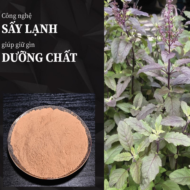 Túi 500g bột hương nhu sấy khô giá rẻ