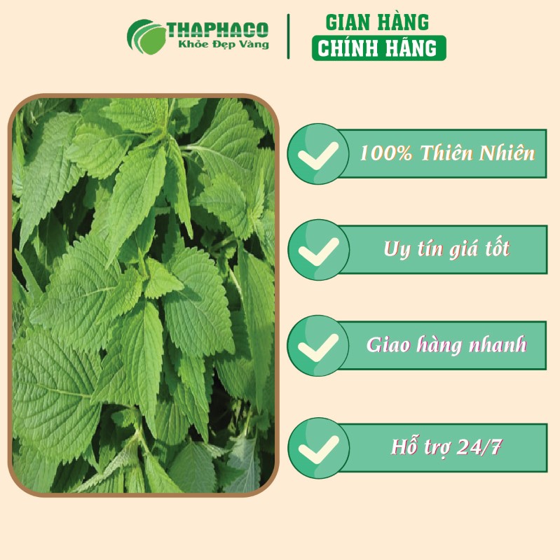 Nơi bán lẻ túi 500g bột kinh giới tuệ sấy khô giá rẻ tại TP.HCM