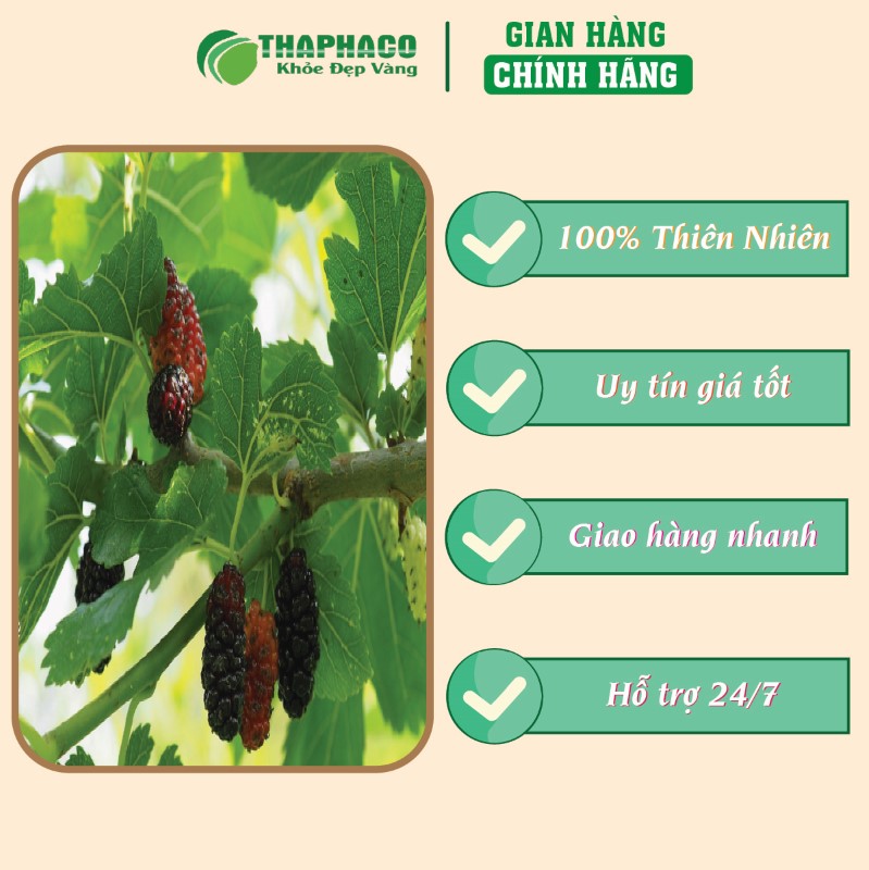 Nơi bán lẻ túi 500g bột lá dâu tằm sấy khô giá rẻ tại TP.HCM