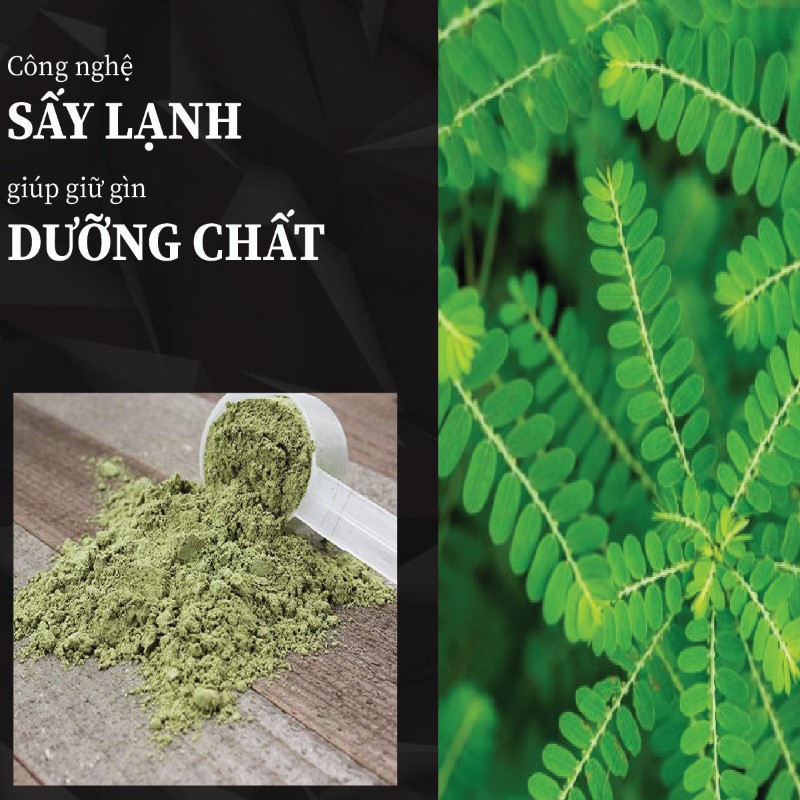 Túi 500g bột lá diệp hạ châu sấy khô giá rẻ 