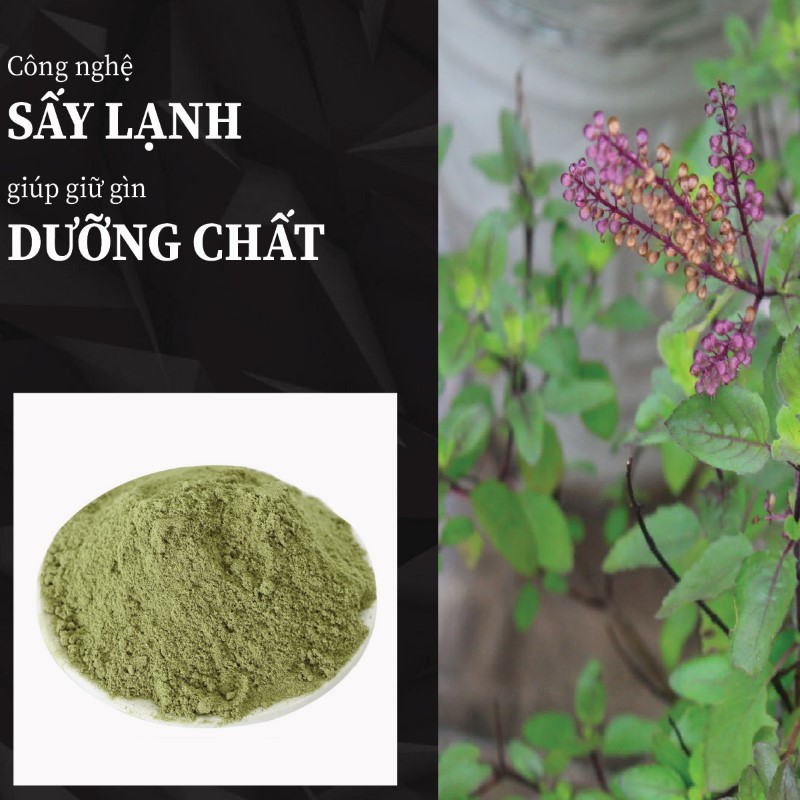 Túi 500g bột lá hương nhu sấy khô giá rẻ