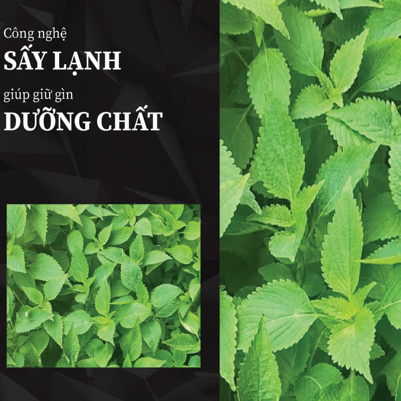 Túi 500g bột lá kim tiền thảo sấy khô giá rẻ