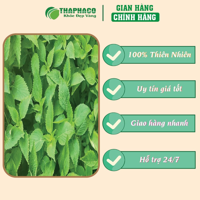 Nơi bán lẻ túi 500g bột lá kinh giới sấy khô giá rẻ tại TP.HCM