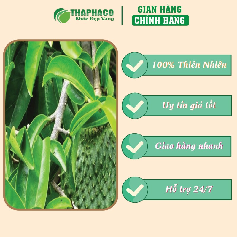 Địa chỉ bán lẻ túi 500g bột lá mãng cầu sấy khô giá rẻ tại TP.HCM