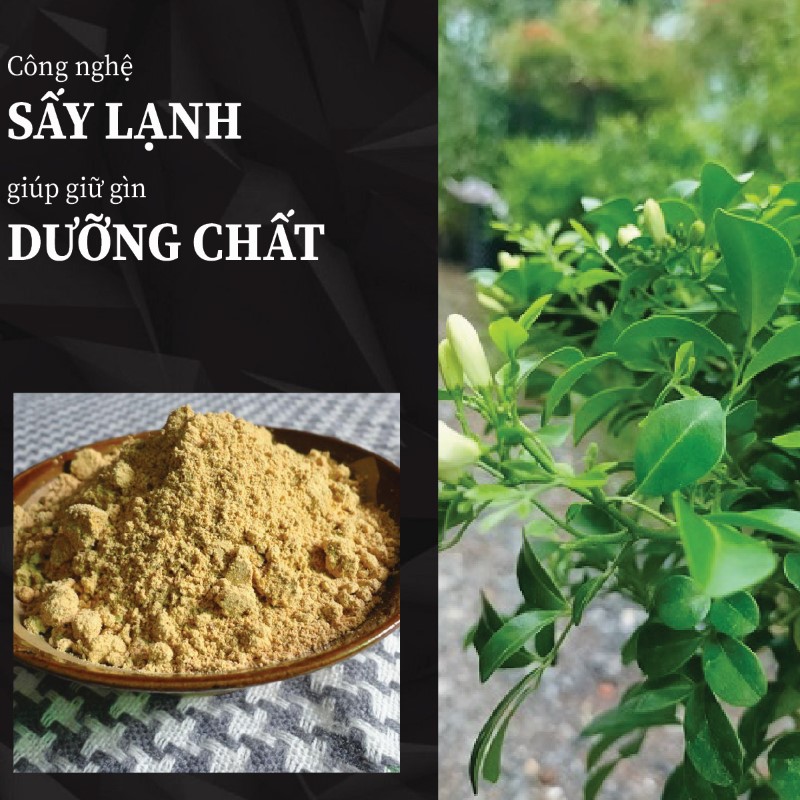 Túi 500g bột lá nguyệt quế sấy khô giá rẻ