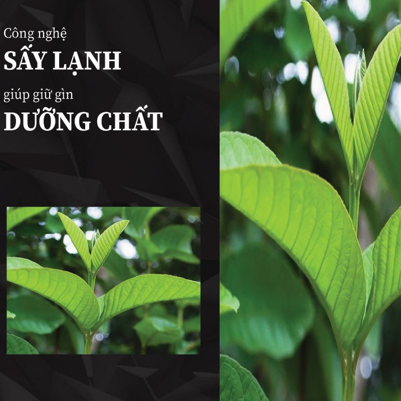 Túi 500g bột lá ổi sấy khô giá rẻ