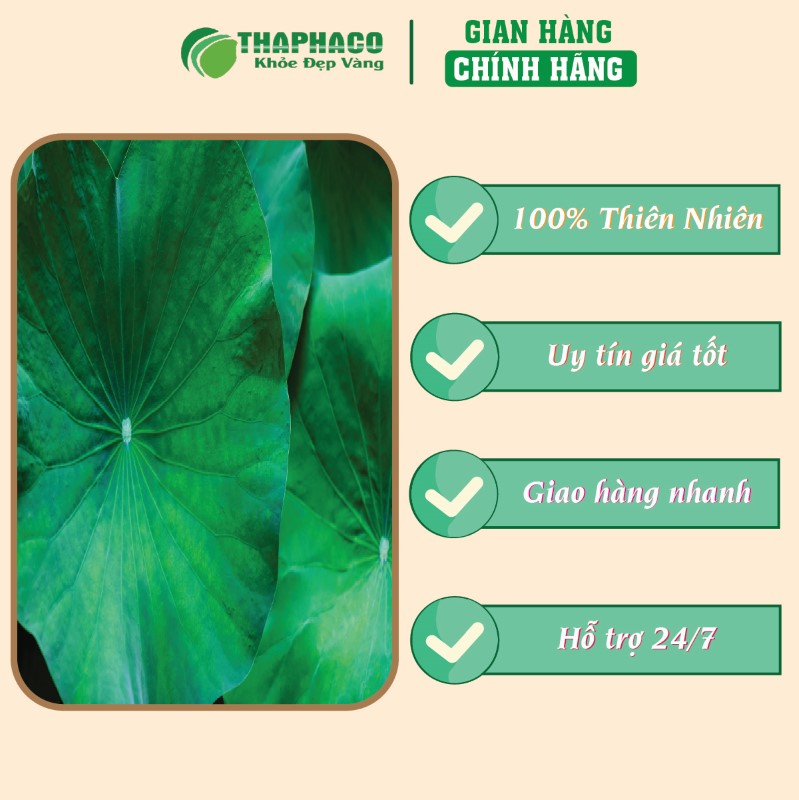 Địa chỉ bán lẻ túi 500g bột lá sen sấy khô giá rẻ tại TP.HCM