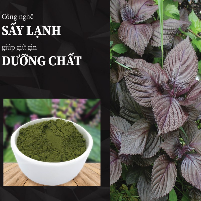 Túi 500g bột lá tía tô sấy khô giá rẻ