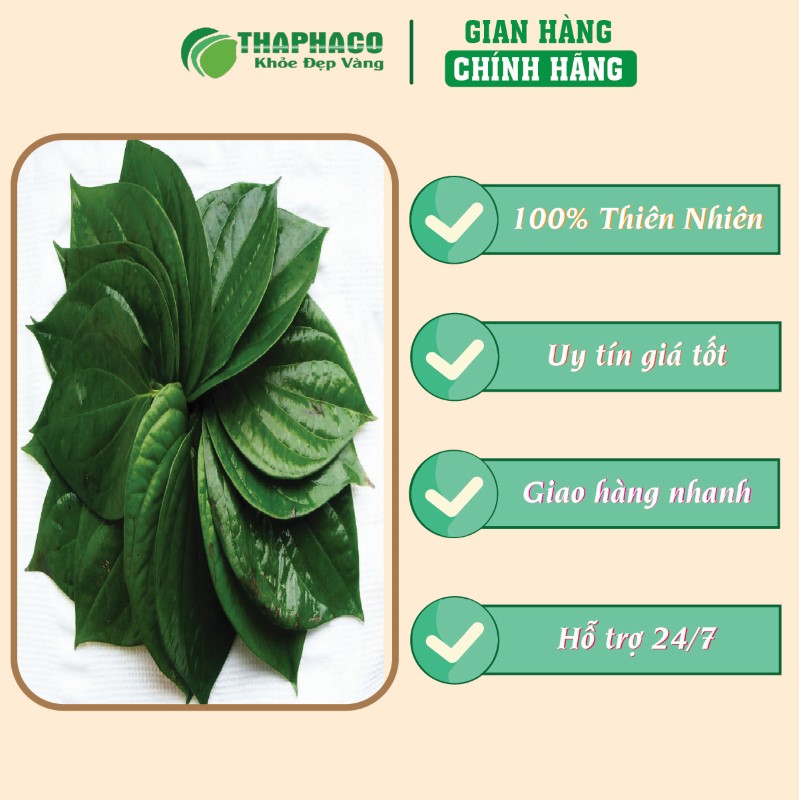 Nơi bán lẻ túi 500g bột lá trầu không sấy khô giá rẻ tại TP.HCM