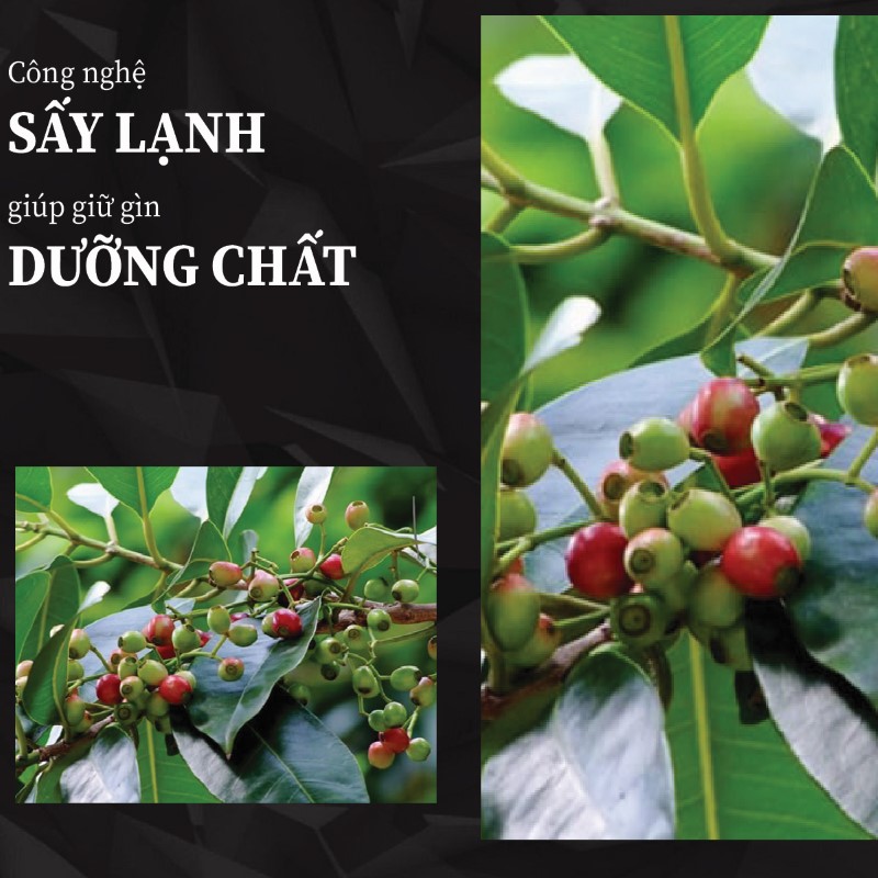 Túi 500g bột lá vối sấy khô giá rẻ tại TP.HCM