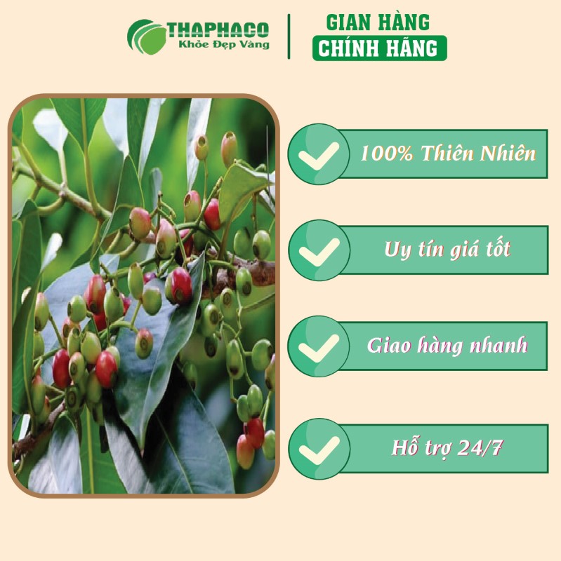 Chỗ mua túi 500g bột lá vối sấy khô giá rẻ tại TP.HCM
