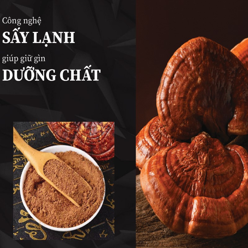 Túi 500g bột nấm linh chi sấy khô giá rẻ