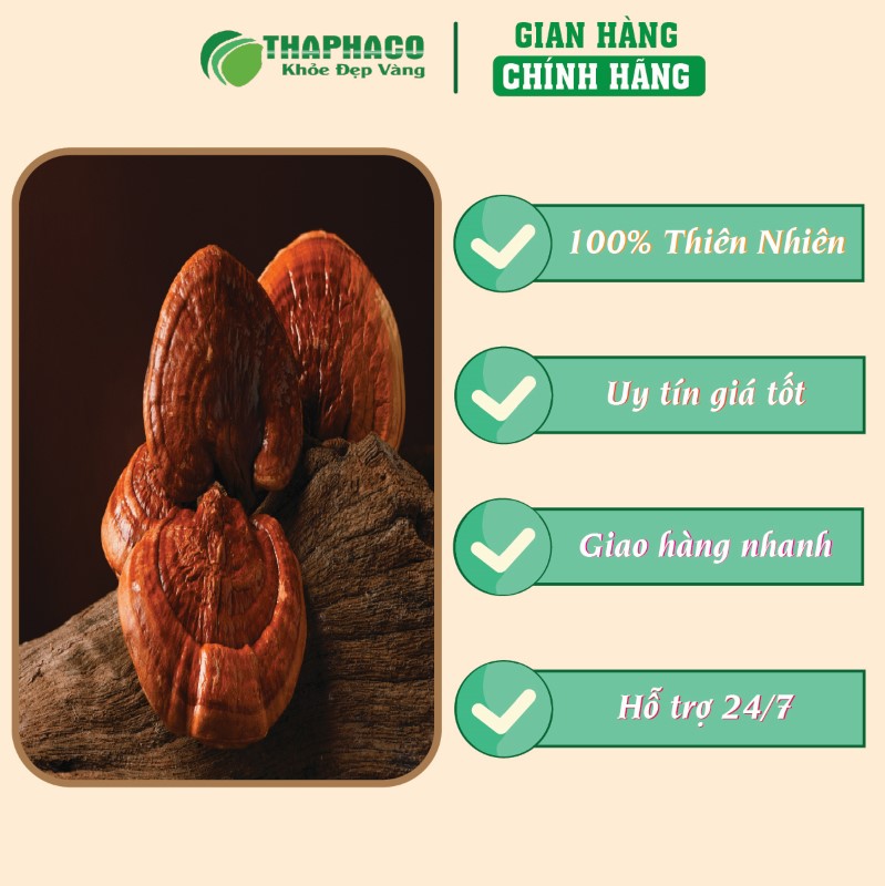 Địa chỉ bán lẻ túi 500g bột nấm linh chi sấy khô giá rẻ tại TP.HCM