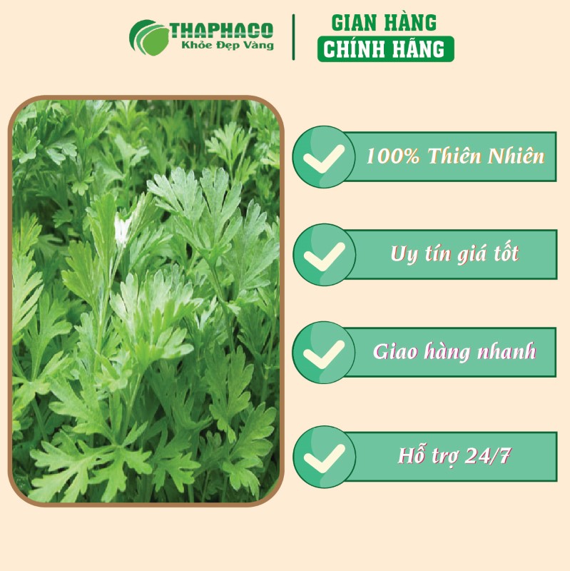 Địa chỉ bán lẻ túi 500g bột ngải cứu sấy khô giá rẻ tại TP.HCM