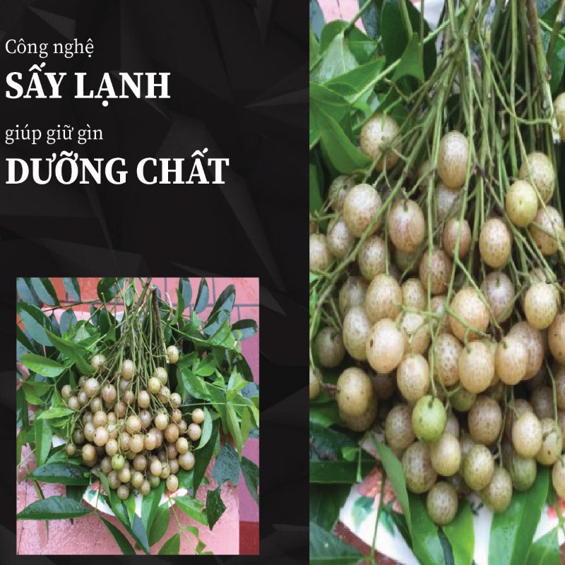 Túi 500g bột quả móc mật sấy khô giá rẻ