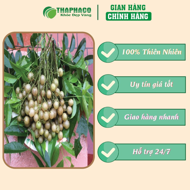 Nơi bán lẻ túi 500g bột quả móc mật sấy khô giá rẻ tại TP.HCM