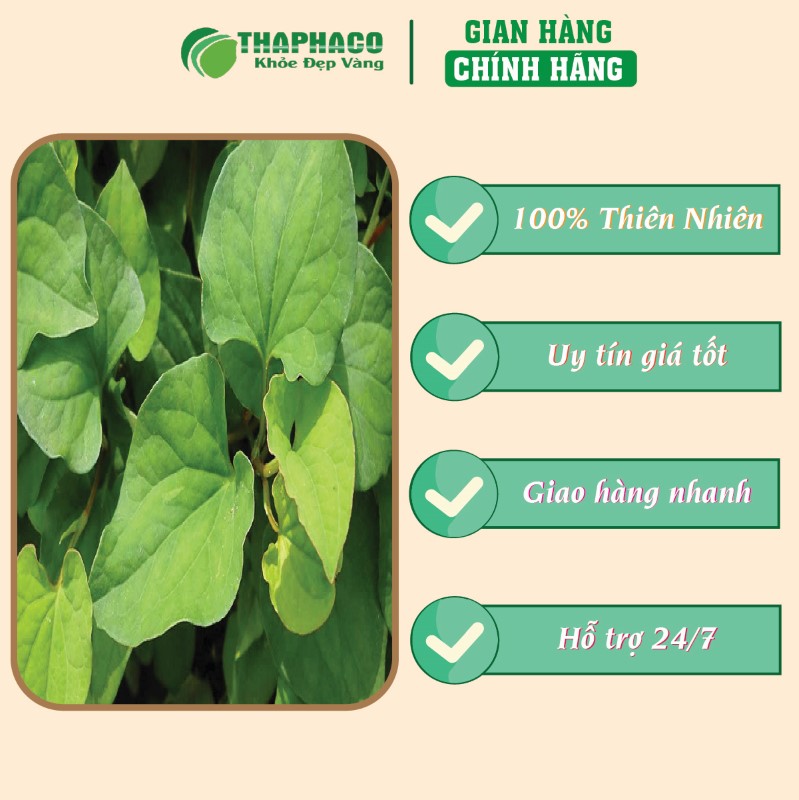 Địa chỉ bán lẻ túi 500g bột rau diếp cá sấy khô giá rẻ tại TP.HCM