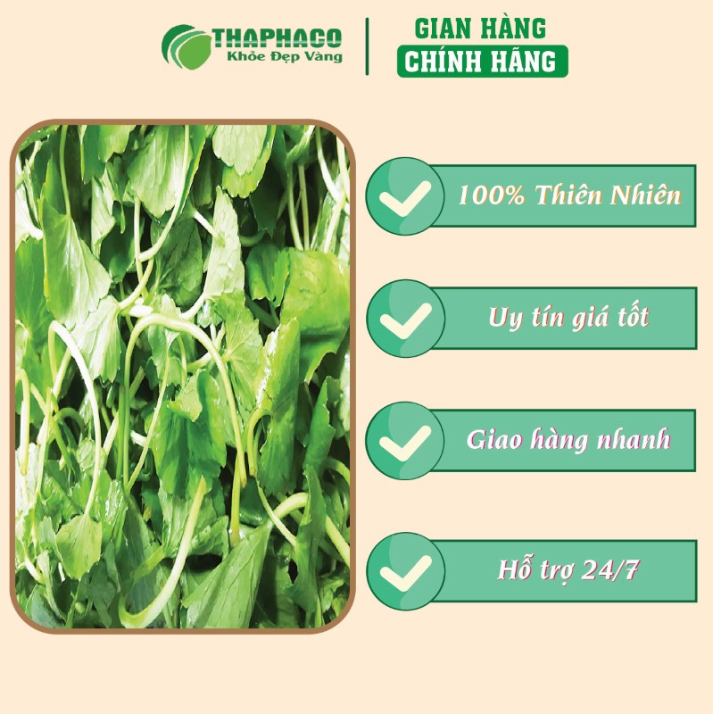 Chỗ bán lẻ túi 500g bột rau má sấy khô giá rẻ tại TP.HCM