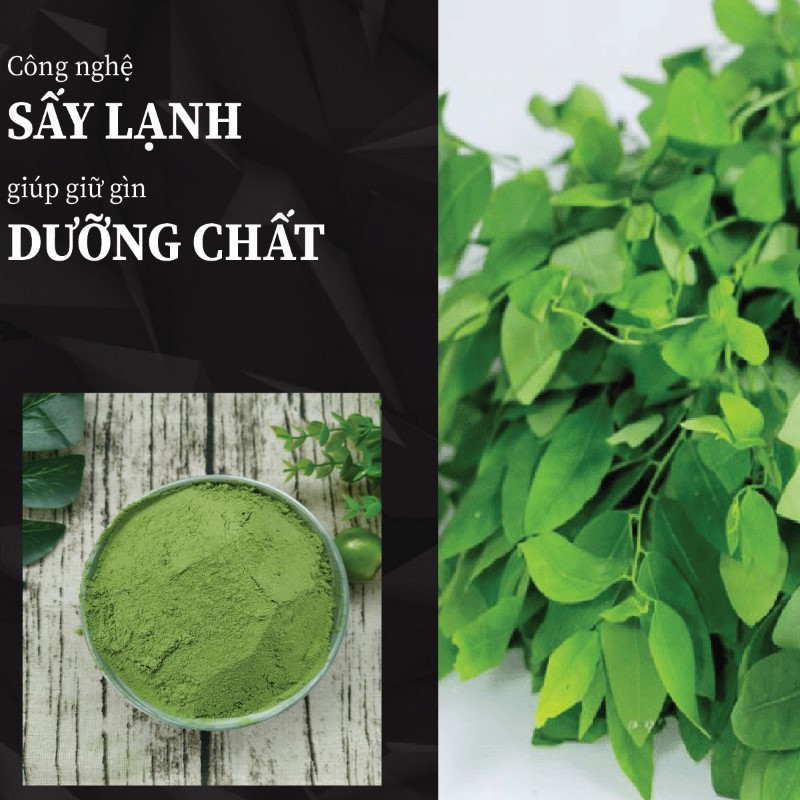 Túi 500g bột rau ngót sấy khô giá rẻ