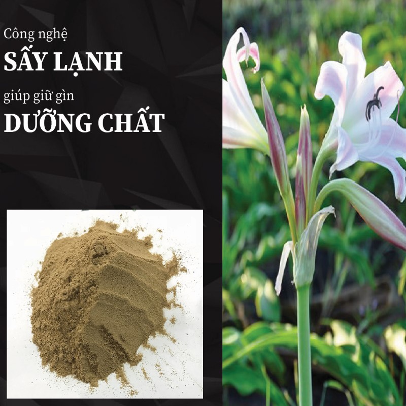 Túi 500g bột trinh nữ hoàng cung sấy khô giá rẻ