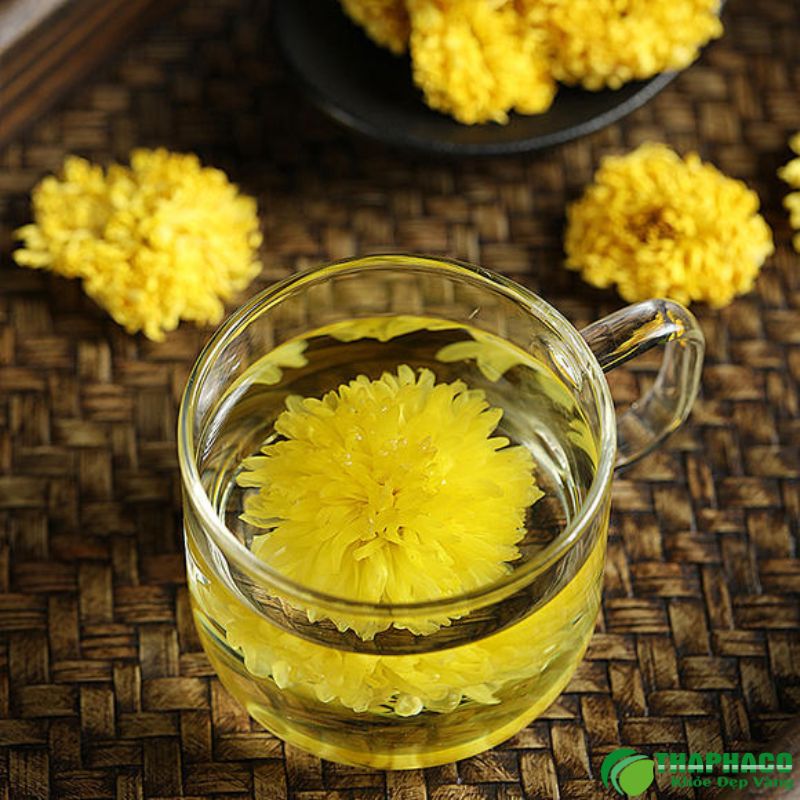 Công dụng của hoa cúc vàng khô đối với giấc ngủ 