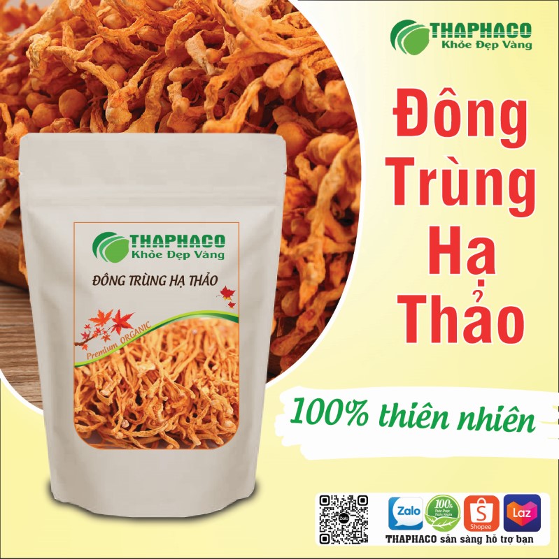 Địa chỉ mua đông trùng hạ thảo sấy khô túi 1kg uy tín tại TP.HCM