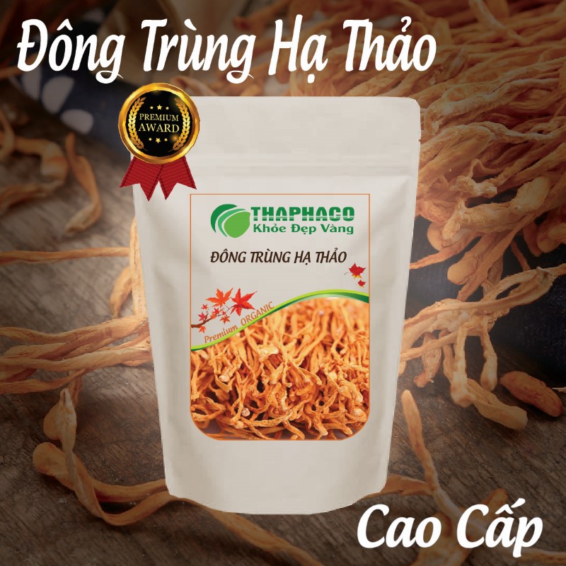 Mua đông trùng hạ thảo khô túi 100g giá rẻ tại TP.HCM