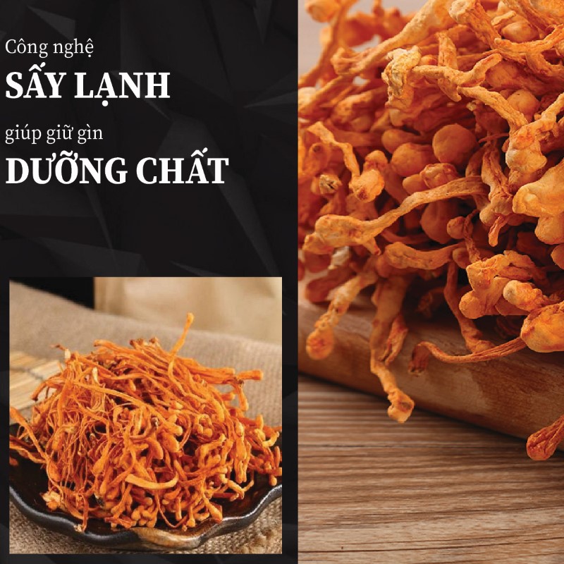 Túi 500g đông trùng hạ thảo sấy khô giá rẻ