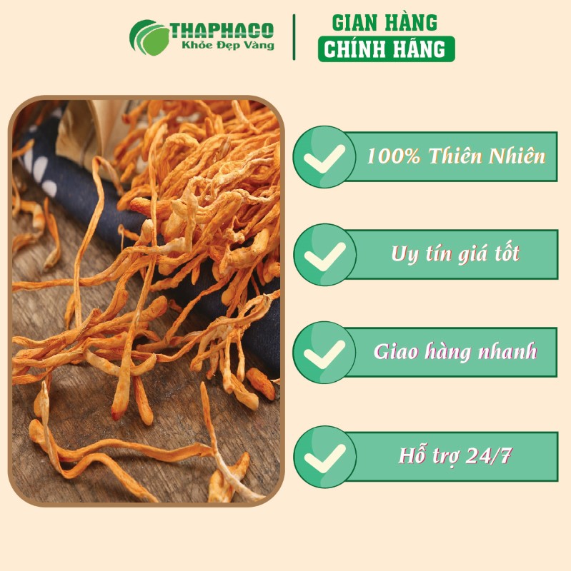 Chỗ bán túi 500g đông trùng hạ thảo khô giá rẻ tại TP.HCM
