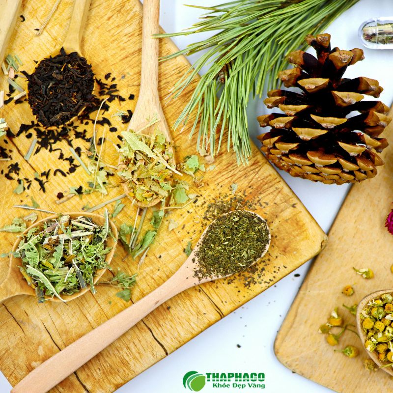 Giá bán gia vị nấu canh dưỡng sinh tại TP.HCM