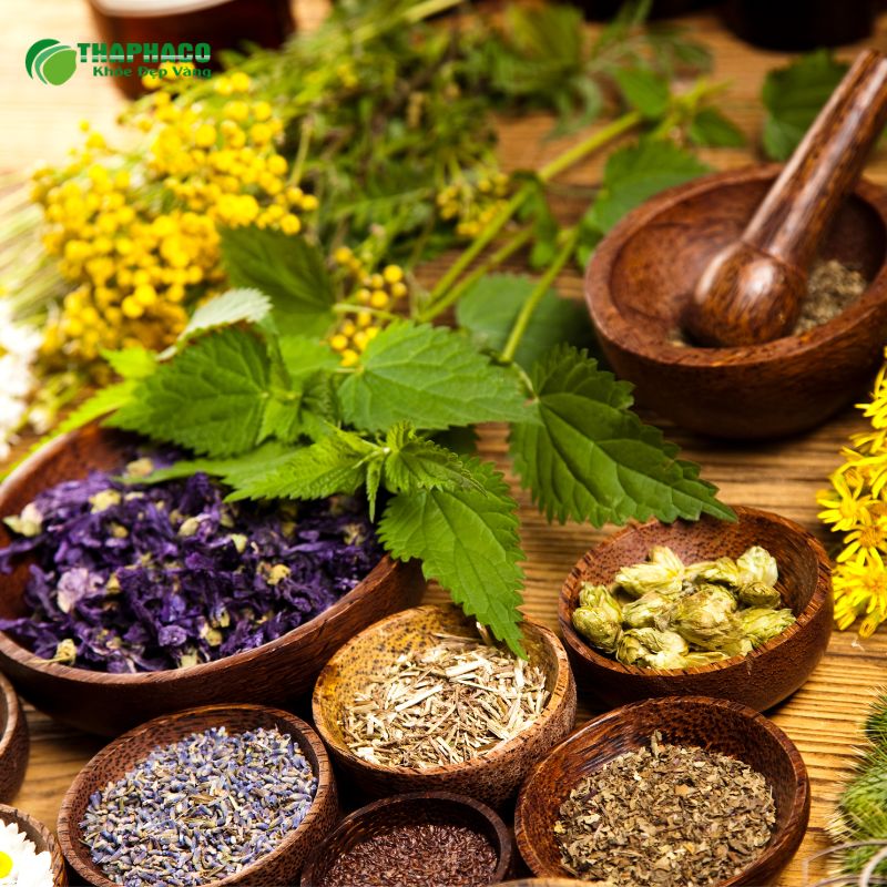 Mua gia vị nấu canh dưỡng sinh tại TP.HCM