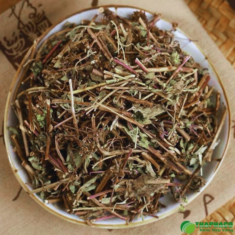 Cần lưu ý gì khi xông lá hương nhu hỗ trợ giải cảm?