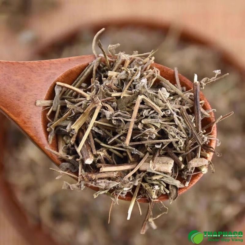 Cách xông lá hương nhu giải cảm đơn giản tại nhà