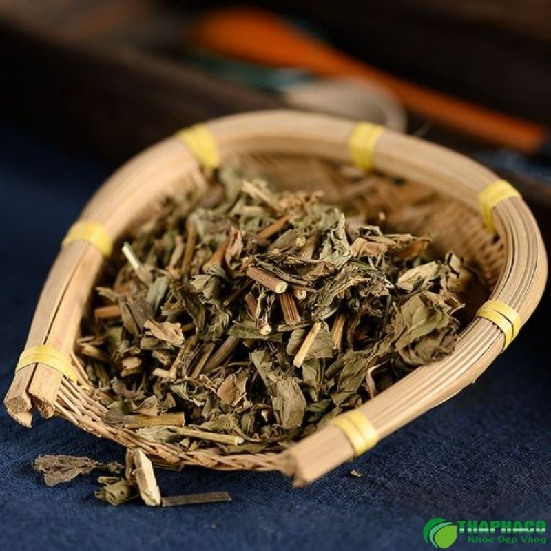 Lá hương nhu có tác dụng gì?